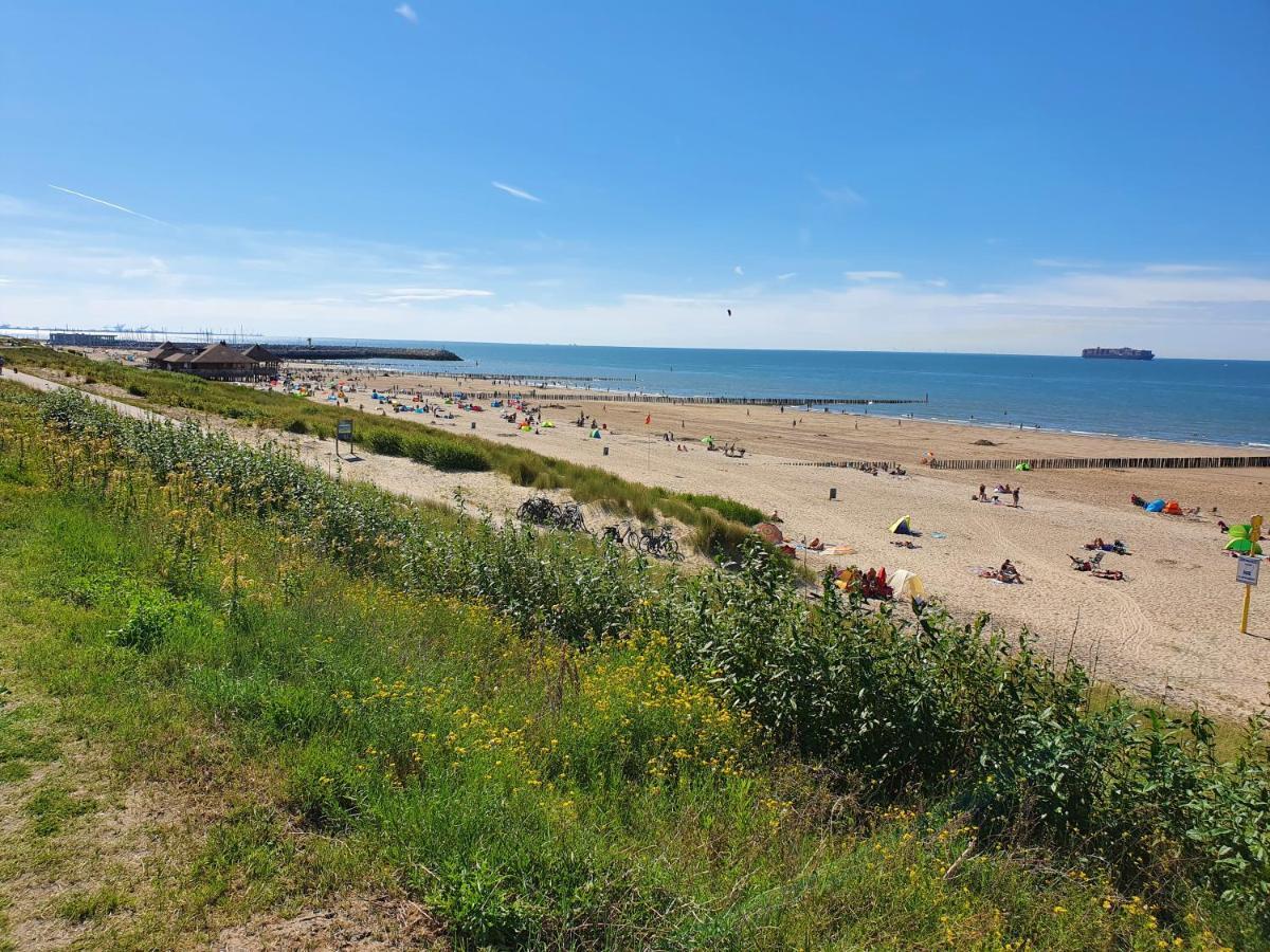 Le Normandy 5Star Leilighet Cadzand Eksteriør bilde